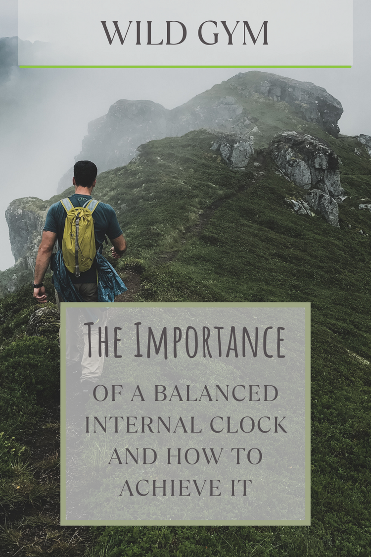 The Importance of a Balanced Internal Clock and How to Achieve It