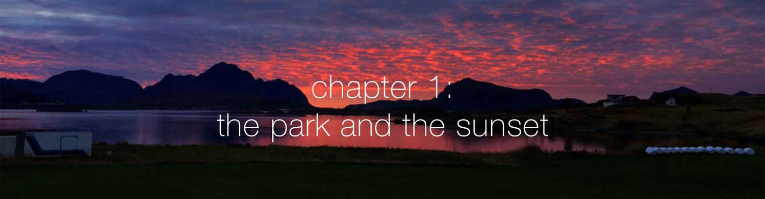Chapter 1: The Park and The Sunset