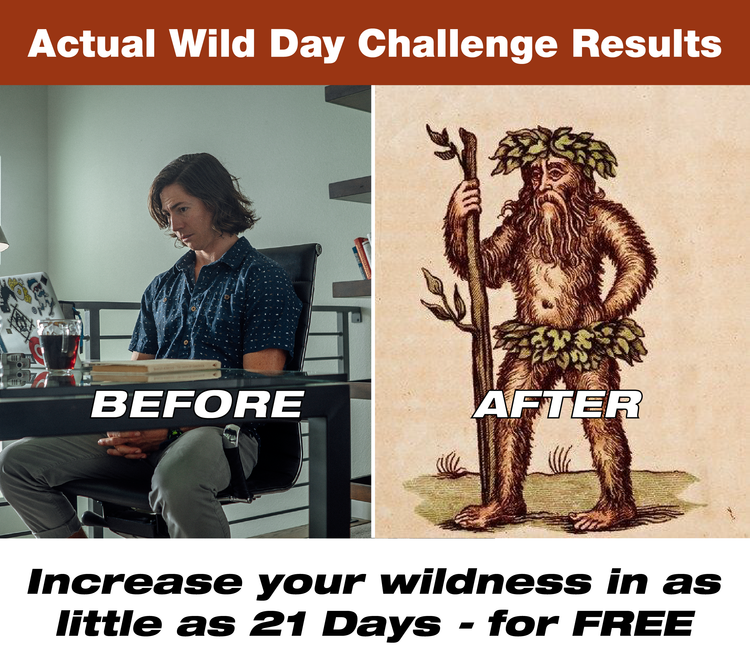 Wild Day 2022!