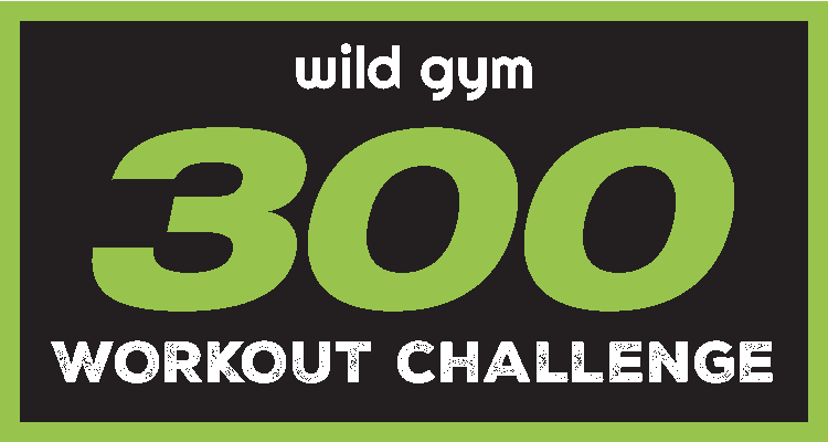 300 Challenge Patches