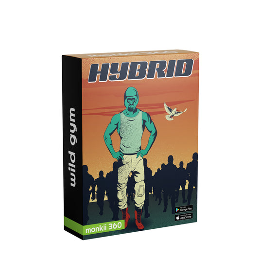 Step 5: Hybrid Program